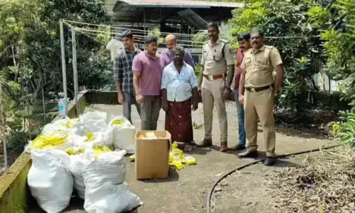ഓപറേഷൻ തൂഫാൻ; കാൽ കിലോ എം.ഡി.എം.എയുമായി രണ്ടുപേർ അറസ്റ്റിൽ