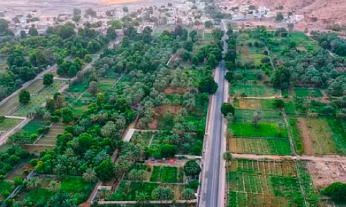 ഖുറിയാത്തിൽ കൃഷി സ്മാർട്ടാവും; 17 ദശലക്ഷം റിയാലിന്റെ നൂതന പദ്ധതി