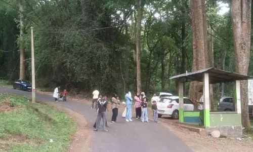 സിനിമയിലെ ബസ്‍സ്റ്റോപ്പ് വൈറൽ, വനംവകുപ്പിന് തലവേദന