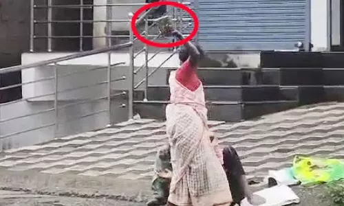 പാലായിൽ സാമൂഹിക വിരുദ്ധ വിളയാട്ടം
