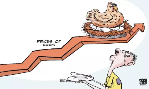 കുതിച്ച് കോഴിമുട്ട വില; ഒരു മുട്ടയുടെ ചില്ലറ വില 8.50 രൂപ