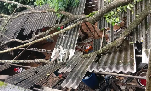മരം കടപുഴകി വീട് തകർന്നു