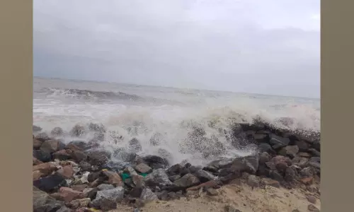 തീരത്തിനിത് സങ്കടച്ചാകര
