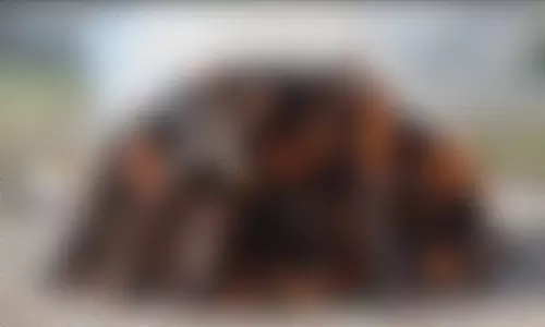ജനവാസ മേഖലയിൽ മൃതദേഹ സംസ്‌കാരം; നാട്ടുകാർ പ്രതിഷേധത്തിൽ