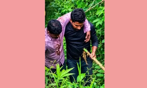 മലക്കപ്പാറയിൽ വ്യൂ പോയന്റിൽ നിന്ന് വീണ സഞ്ചാരിയെ സാഹസികമായി രക്ഷപ്പെടുത്തി മലക്കപ്പാറയിൽ വ്യൂ പോയന്റിൽ നിന്ന് വീണ സഞ്ചാരിയെ സാഹസികമായി രക്ഷപ്പെടുത്തി