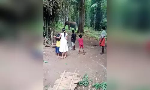 കുറുമ്പില്ല, പേടിപ്പെടുത്തലുമില്ല; ലക്ഷ്മി നല്ലൊരു കാട്ടാന, അല്ല നാട്ടാന കുറുമ്പില്ല, പേടിപ്പെടുത്തലുമില്ല; ലക്ഷ്മി നല്ലൊരു കാട്ടാന, അല്ല നാട്ടാന