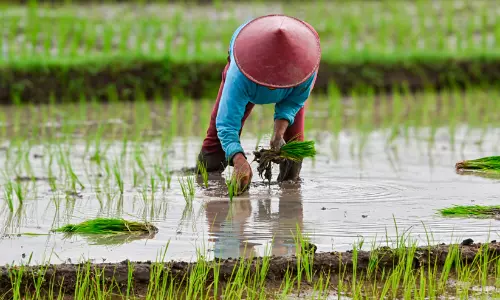 agriculture