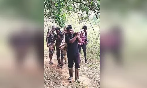 ആനയുടെ ആക്രമണത്തിൽ വനപാലകന് പരിക്ക് ആനയുടെ ആക്രമണത്തിൽ വനപാലകന് പരിക്ക്