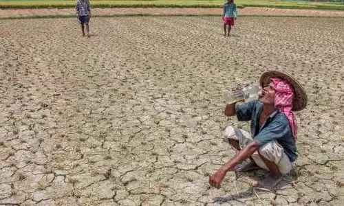 എൽനിനോ പ്രതിസന്ധി: കാർഷിക മേഖലയ്ക്ക് പ്രത്യേക സാമ്പത്തിക സഹായം കേന്ദ്രത്തോട് ആവശ്യപ്പെട്ട് മന്ത്രി എൽനിനോ പ്രതിസന്ധി: കാർഷിക മേഖലയ്ക്ക് പ്രത്യേക സാമ്പത്തിക സഹായം കേന്ദ്രത്തോട് ആവശ്യപ്പെട്ട് മന്ത്രി