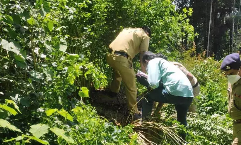 മുട്ടിൽ മരം മുറിക്കേസ് അട്ടിമറിക്കാൻ നീക്കം മുട്ടിൽ മരം മുറിക്കേസ് അട്ടിമറിക്കാൻ നീക്കം
