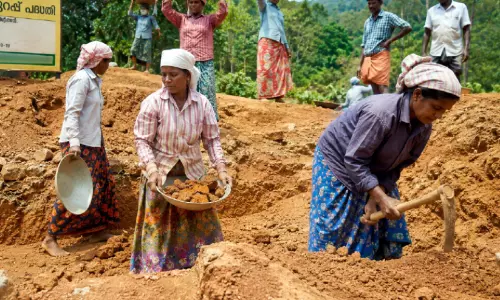 തൊഴിലുറപ്പ് പരിഷ്കരണം; മലയോരത്ത് ആശങ്കയേറെ, ത​രം​തി​രി​വ് ജി​ല്ല​യി​ലും പ്ര​ശ്നം സൃ​ഷ്ടി​ക്കും