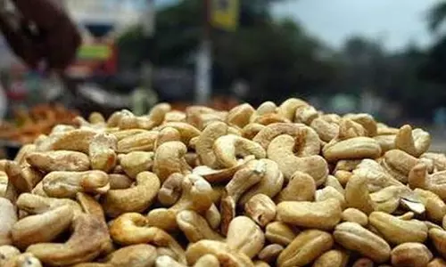 കശുവണ്ടി അഴിമതി പ്രോസിക്യൂഷൻ അനുമതി ഉത്തരവിൽ വിവാദം; തിരുത്താൻ സർക്കാർ
