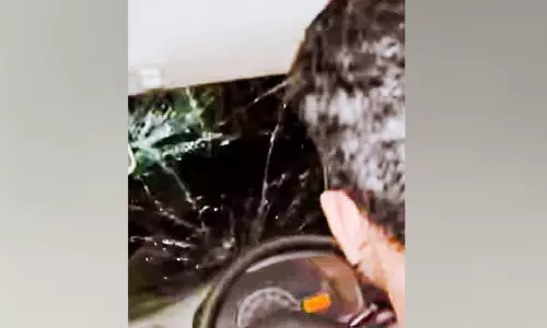 ലോ​ക​ക​പ്പ് ഫു​ട്ബാ​ൾ ക​ണ്ടു മ​ട​ങ്ങി​യ യു​വാ​ക്ക​ൾ​ക്കു​നേ​രെ കാ​ട്ടാ​ന​ക്കൂ​ട്ടം