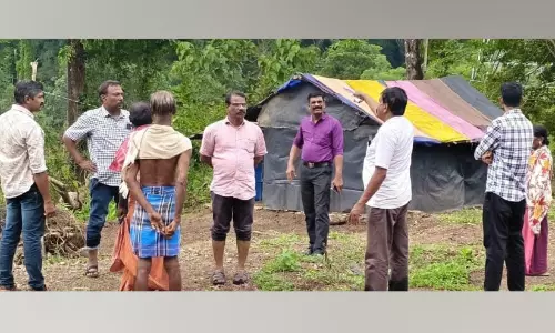അരിപ്പ റവന്യൂ ഭൂമിയിലെ മരങ്ങൾ മുറിച്ചു കടത്തിയ സംഭവം: വിജിലൻസ് സംഘം പരിശോധന നടത്തി