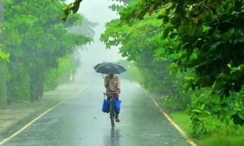 ആറു ജില്ലകളിൽ യെല്ലോ അലർട്ട്: വടക്കൻ ജില്ലകളിൽ മഴയ്ക്ക് സാധ്യത