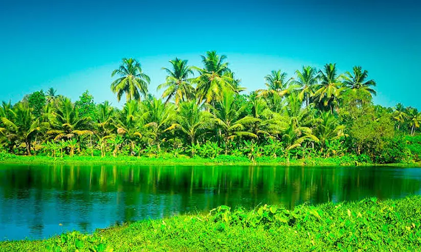 കോൺഗ്രസ് എം.പിമാർക്കും എം.എൽ.എമാർക്കുമെതിരെ വിമർശനവുമായി പരിസ്ഥിതി പ്രവർത്തകർ; എ.ഐ.സി.സിക്ക് പരാതി കോൺഗ്രസ് എം.പിമാർക്കും എം.എൽ.എമാർക്കുമെതിരെ വിമർശനവുമായി പരിസ്ഥിതി പ്രവർത്തകർ; എ.ഐ.സി.സിക്ക് പരാതി