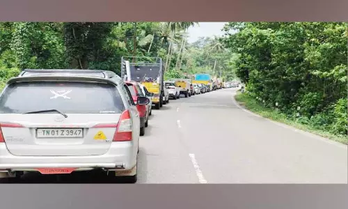 ആര്യങ്കാവിൽ മരങ്ങൾ കടപുഴകി   ദേശീയപാതയിൽ മണിക്കൂറോളം ഗതാഗതം മുടങ്ങി