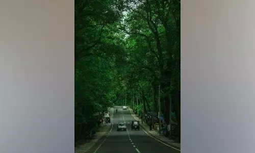 കാ​ല്‍നൂ​റ്റാ​ണ്ടി​ന്‍റെ കു​രു​ക്ക​ഴി​ച്ചു  19 റോ​ഡു​ക​ളു​ടെ പ്ര​വൃ​ത്തി​ക്ക് വ​നം​വ​കു​പ്പ് അ​നു​മ​തി