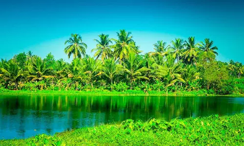 കോൺഗ്രസ് എം.പിമാർക്കും എം.എൽ.എമാർക്കുമെതിരെ വിമർശനവുമായി പരിസ്ഥിതി പ്രവർത്തകർ; എ.ഐ.സി.സിക്ക് പരാതി