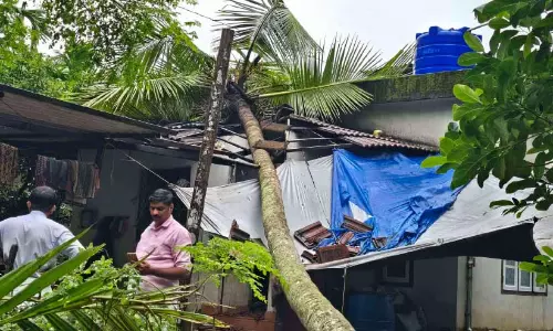 ശക്തമായ കാറ്റ്; അമരമ്പലത്ത് വ്യാപക നാശം