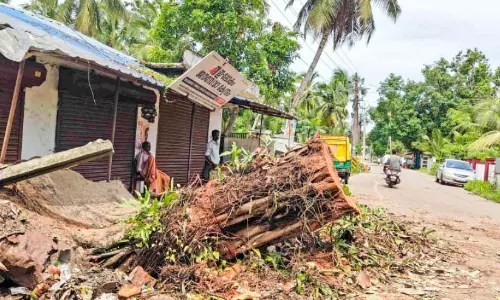 പപ്പൻമുക്കിലെ ആൽമരം ഇനി ഓർമ