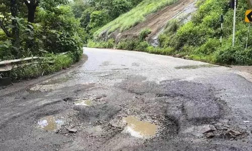 കൊല്ലം-തിരുമംഗലം ദേശീയപാത മരണക്കുഴിയായി; അപകടം പെരുകുന്നു കൊല്ലം-തിരുമംഗലം ദേശീയപാത മരണക്കുഴിയായി; അപകടം പെരുകുന്നു