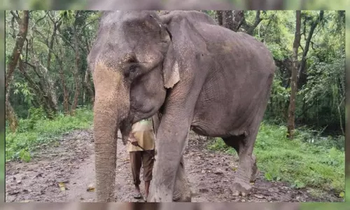 34 വർഷം വനം കാത്ത കാസിരംഗയുടെ കാവൽക്കാരി ഇനി ഓർമ 34 വർഷം വനം കാത്ത കാസിരംഗയുടെ കാവൽക്കാരി ഇനി ഓർമ