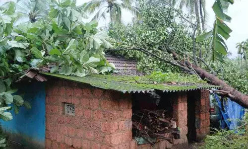 കരുളായിയിൽ ശക്തമായ ചുഴലിക്കാറ്റ്; 40ഓളം വീടുകൾ ഭാഗികമായി തകർന്നു