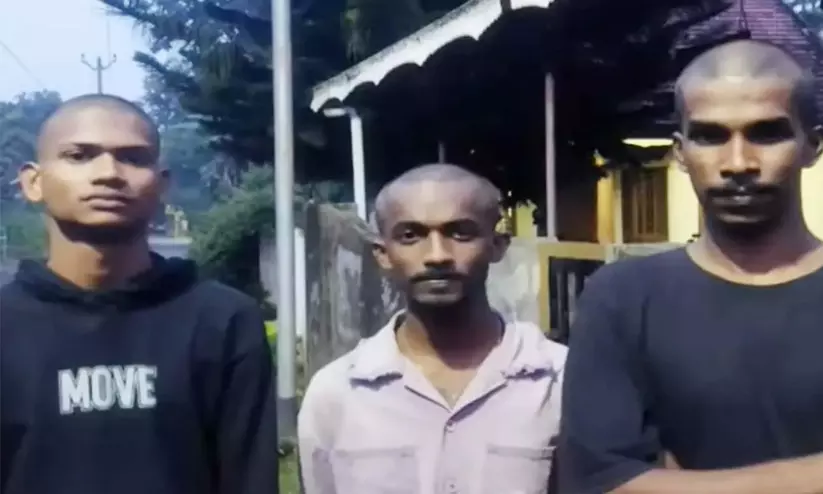 ലഹരി വിൽപ്പനക്കാരെന്ന് ആരോപിച്ച് പെരുമ്പാവൂരിൽ യുവാക്കളുടെ തലമുണ്ഡനം ചെയ്തെന്ന് ആരോപണം ലഹരി വിൽപ്പനക്കാരെന്ന് ആരോപിച്ച് പെരുമ്പാവൂരിൽ യുവാക്കളുടെ തലമുണ്ഡനം ചെയ്തെന്ന് ആരോപണം