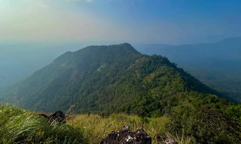ദൃശ്യ വിരുന്നൊരുക്കി മഞ്ഞണിഞ്ഞ പാലുകാച്ചി മല ദൃശ്യ വിരുന്നൊരുക്കി മഞ്ഞണിഞ്ഞ പാലുകാച്ചി മല