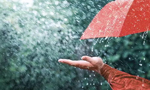 കനത്ത മഴ: വയനാട് ജില്ലയിലെ വിദ്യാഭ്യാസ സ്ഥാപനങ്ങള്‍ക്ക് നാളെ അവധി