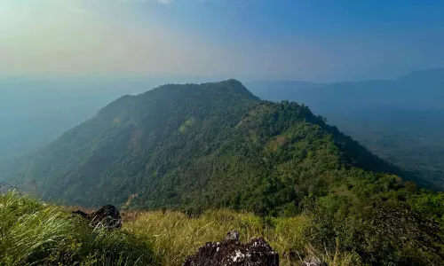 ദൃശ്യ വിരുന്നൊരുക്കി മഞ്ഞണിഞ്ഞ പാലുകാച്ചി മല