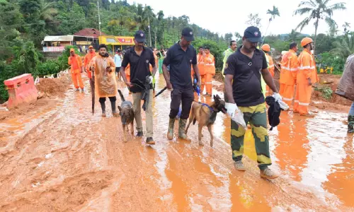 കള്ളാടി ദുരന്തം: ബിക്രം റാണക്കായി തിരച്ചിൽ തുടരുന്നു