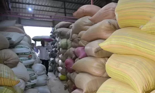 rice scam
