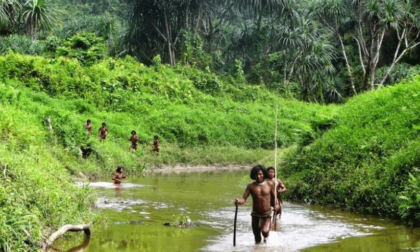 അരുവി മുറിച്ചുകടക്കുന്ന, ഗ്രേറ്റ് നികോബാർ ദ്വീപിലെ ഷോംപെൻ ഗോത്ര വിഭാഗത്തിൽപെട്ട യുവാക്കൾ