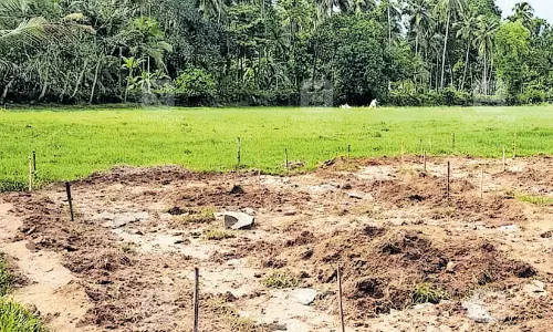 തരംമാറുന്നു, മെല്ലെ മെല്ലെ... ഒരാഴ്ചക്കിടെ തീർപ്പായത് 1400ഓളം ഭൂമി തരംമാറ്റ അപേക്ഷകൾ