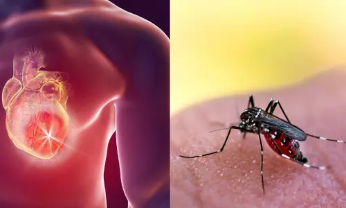 ഈ ലക്ഷണങ്ങൾ അവഗണിക്കരുത്; ഡെങ്കിപ്പനി ഹൃദയത്തെ ബാധിച്ചേക്കാം