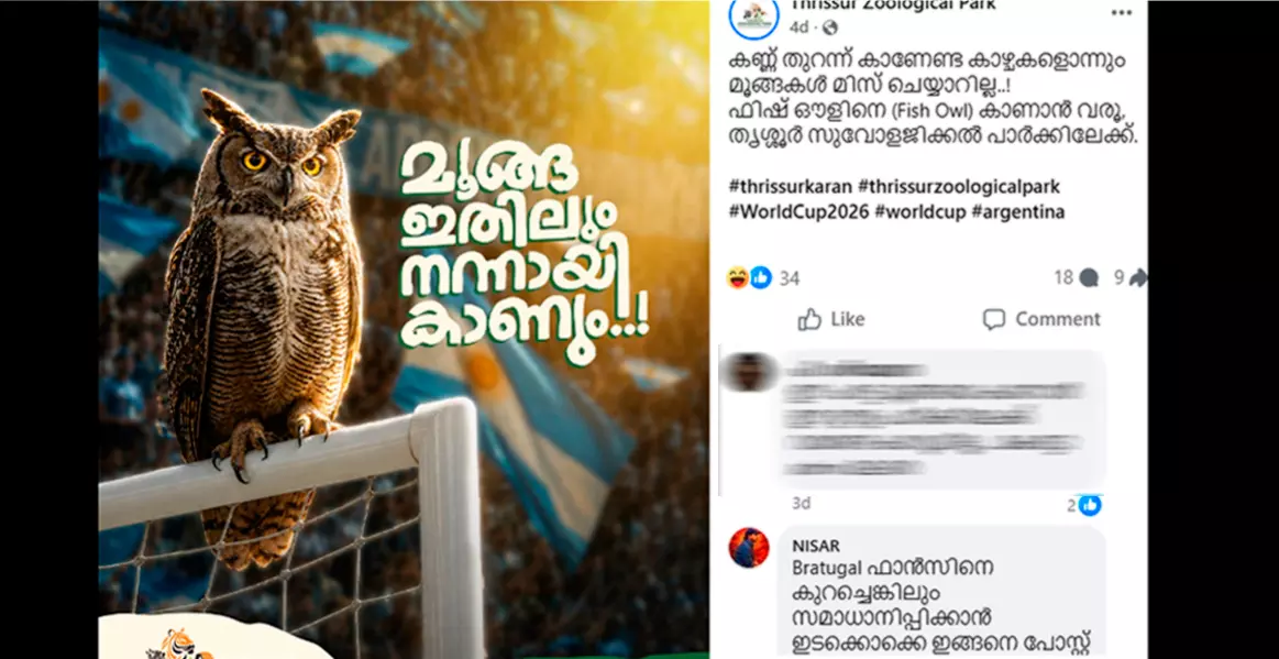 മൂങ്ങ ഇതിലും നന്നായി കാണും, കാണേണ്ട കാഴ്ചകളൊന്നും മിസ്സാക്കാറില്ല, ഫിഫക്കും അർജന്റീനക്കും ട്രോളുമായി പുത്തൂർ സുവോളജിക്കൽ പാർക്ക് മൂങ്ങ ഇതിലും നന്നായി കാണും, കാണേണ്ട കാഴ്ചകളൊന്നും മിസ്സാക്കാറില്ല, ഫിഫക്കും അർജന്റീനക്കും ട്രോളുമായി പുത്തൂർ സുവോളജിക്കൽ പാർക്ക്