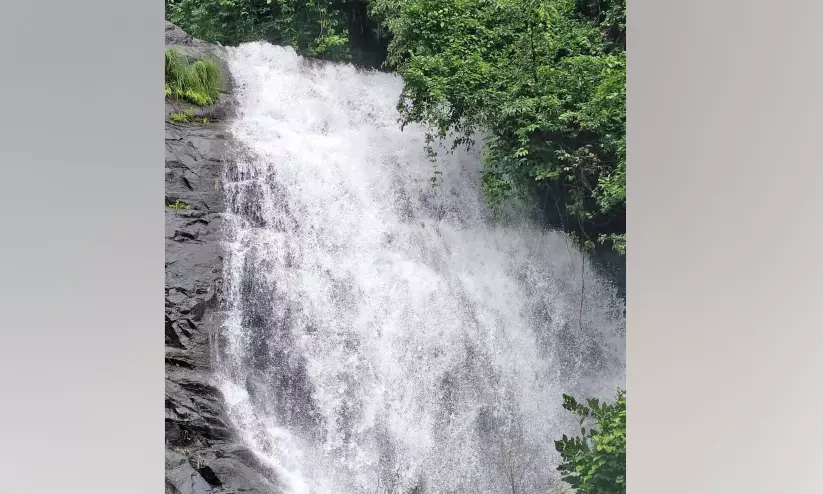 സഞ്ചാരികൾക്ക് ദൃശ്യവിരുന്നൊരുക്കി സൂചിമുഖി സഞ്ചാരികൾക്ക് ദൃശ്യവിരുന്നൊരുക്കി സൂചിമുഖി