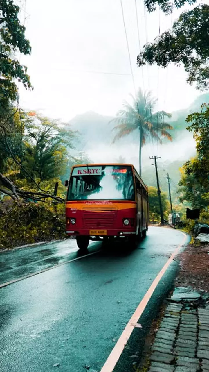 ജൂലൈയിലെ മഴയാത്രകൾ ജൂലൈയിലെ മഴയാത്രകൾ