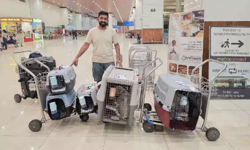 ബിനോജ് വിമാനമിറങ്ങി; ഓമന മൃഗങ്ങൾക്കൊപ്പം ബിനോജ് വിമാനമിറങ്ങി; ഓമന മൃഗങ്ങൾക്കൊപ്പം