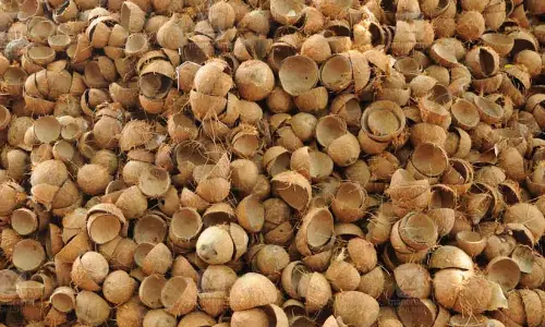 https://www.madhyamam.com/agriculture https://www.madhyamam.com/agriculture