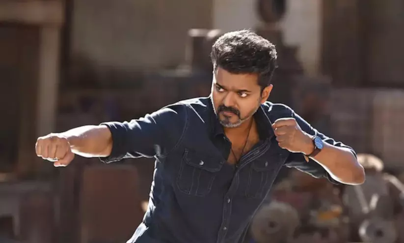 Vijay Vijay