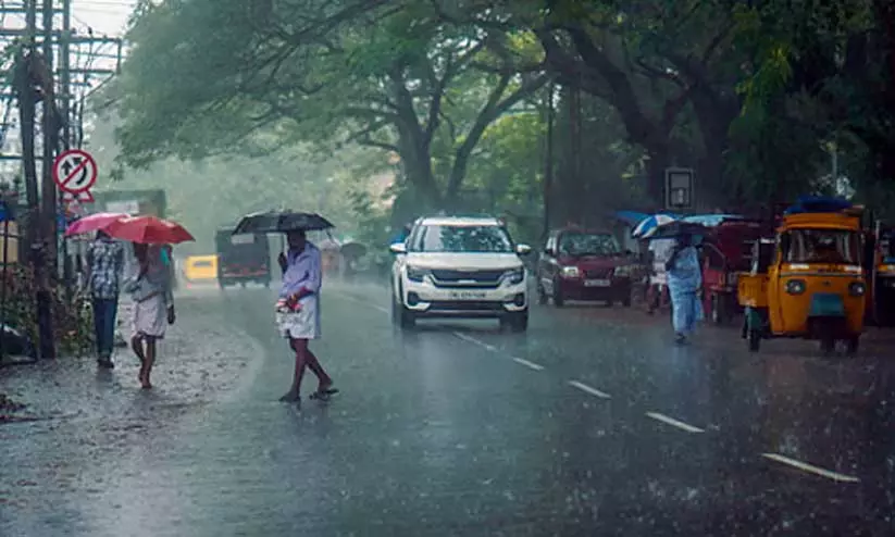 മഴ വീണ്ടും ശക്തി പ്രാപിക്കുന്നു; നാല് ജില്ലകളിൽ യെല്ലോ അലർട്ട് മഴ വീണ്ടും ശക്തി പ്രാപിക്കുന്നു; നാല് ജില്ലകളിൽ യെല്ലോ അലർട്ട്