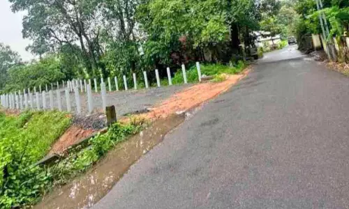 ചൊവ്വര–നെടുവന്നൂർ പാലം നിർമാണം സ്തംഭനത്തിൽ നാട്ടുകാർ പ്രക്ഷോഭത്തിനൊരുങ്ങുന്നു