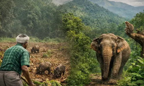 വന്യജീവി ആക്രമണം തടയാൻ സർക്കാർ പ്രഖ്യാപിച്ച 10 മിഷനുകൾ അടിയന്തരമായി നടപ്പാക്കണം- മനുഷ്യാവകാശ കമീഷൻ വന്യജീവി ആക്രമണം തടയാൻ സർക്കാർ പ്രഖ്യാപിച്ച 10 മിഷനുകൾ അടിയന്തരമായി നടപ്പാക്കണം- മനുഷ്യാവകാശ കമീഷൻ