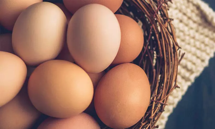 egg egg