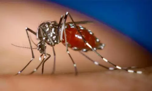 https://www.madhyamam.com/tags/Dengue-fever https://www.madhyamam.com/tags/Dengue-fever