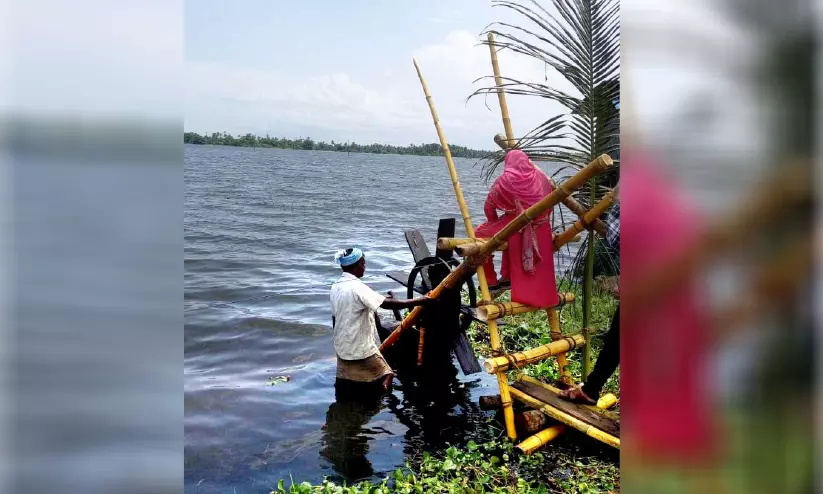 വെളിയനാട് പാടത്ത് ചക്രംചവിട്ടിയും കയറുപിരിച്ചും സഞ്ചാരികൾ; ഇത് വേറിട്ടകാഴ്ച വെളിയനാട് പാടത്ത് ചക്രംചവിട്ടിയും കയറുപിരിച്ചും സഞ്ചാരികൾ; ഇത് വേറിട്ടകാഴ്ച