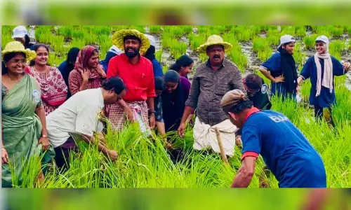 കൊത്തിച്ചാടിയും കൈപ്പാട് അരിയുടെ കഞ്ഞി കുടിച്ചും കൈപ്പാട് ഫെസ്റ്റ് കൊത്തിച്ചാടിയും കൈപ്പാട് അരിയുടെ കഞ്ഞി കുടിച്ചും കൈപ്പാട് ഫെസ്റ്റ്